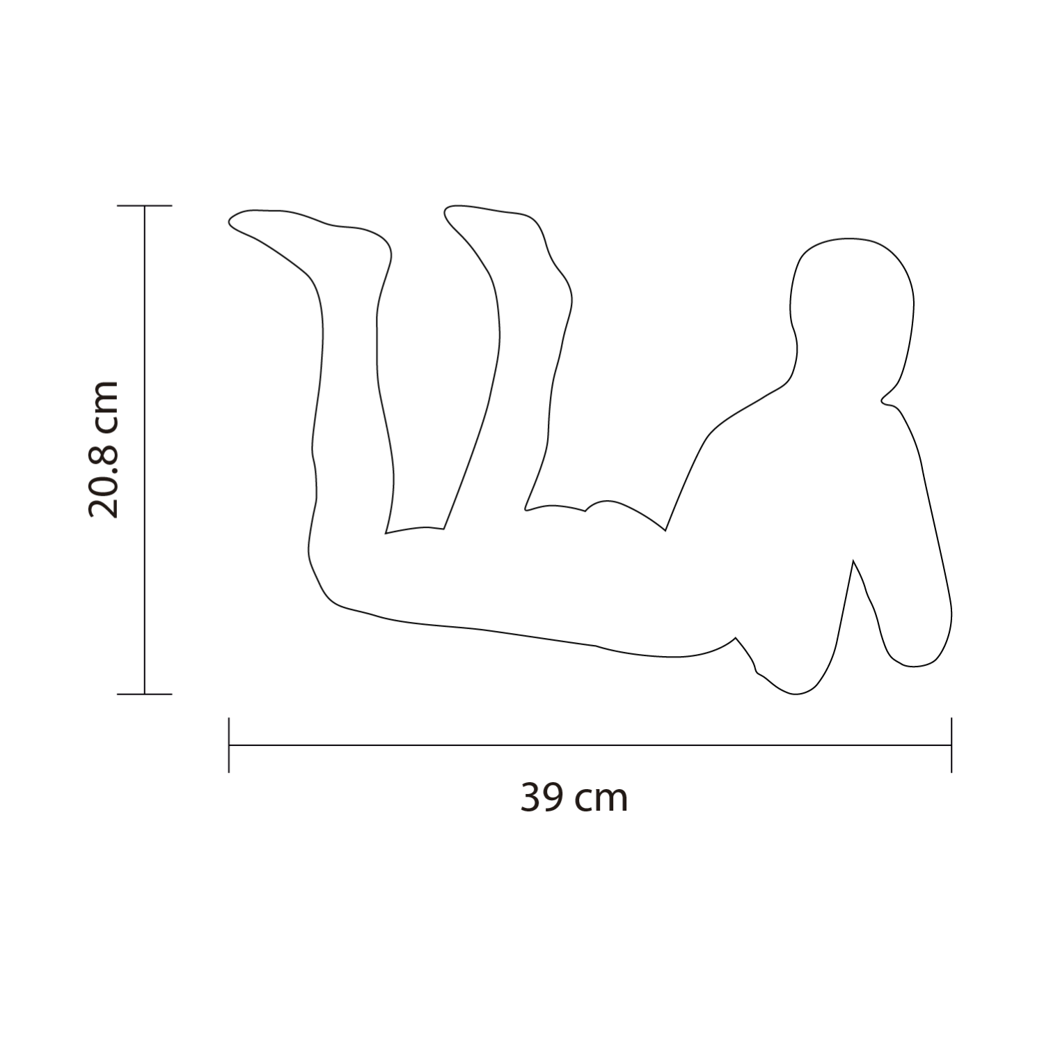 Dimensiones del producto