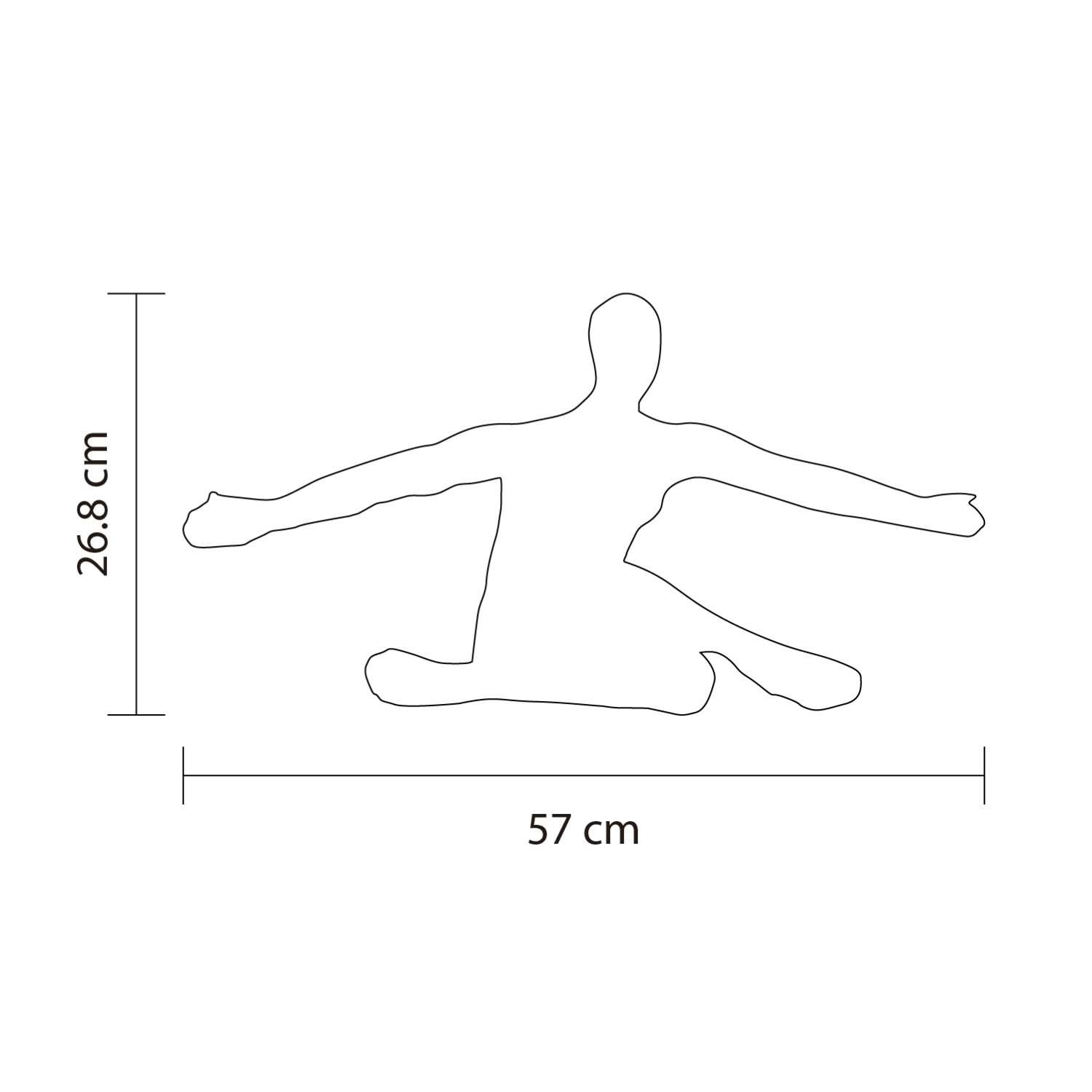 Dimensiones del producto