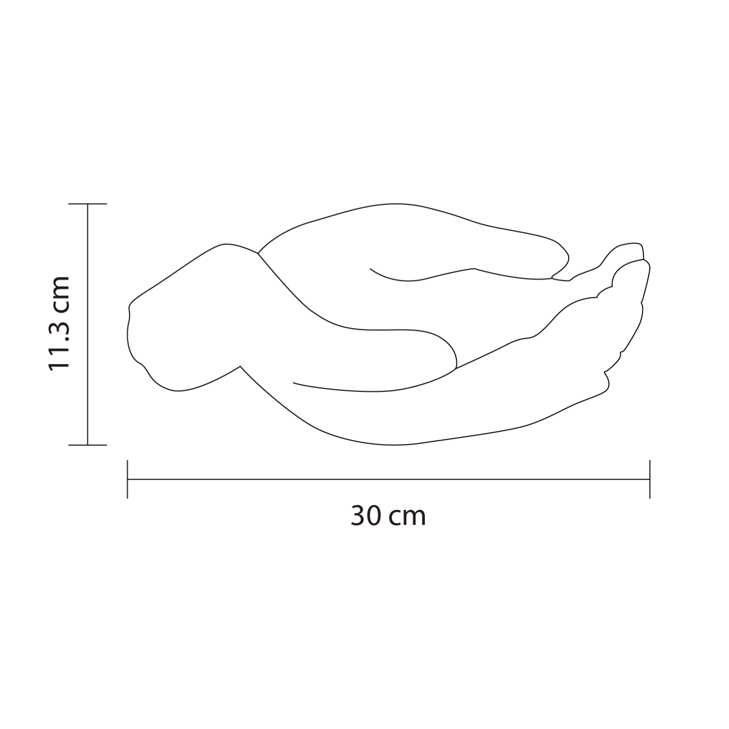 Dimensiones del producto