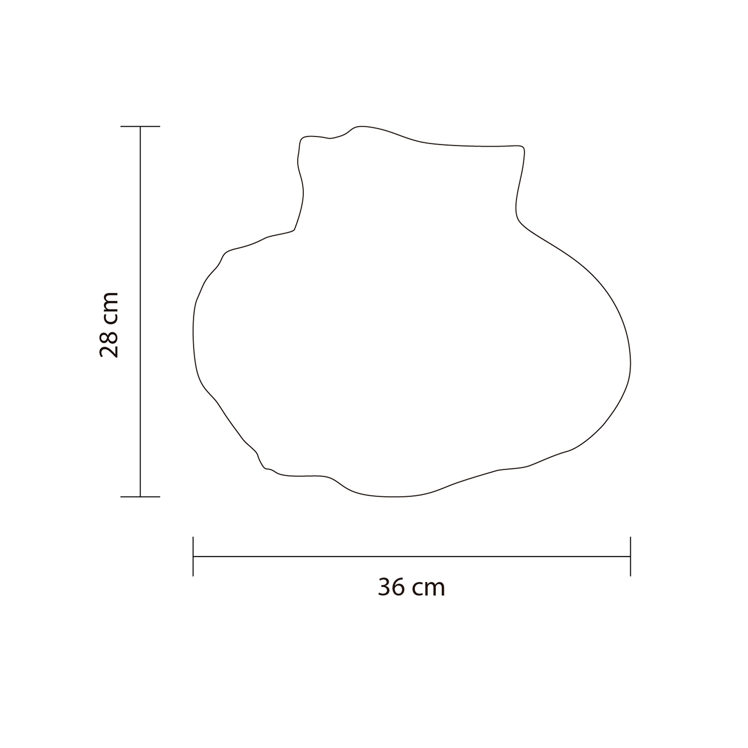 Dimensiones del producto