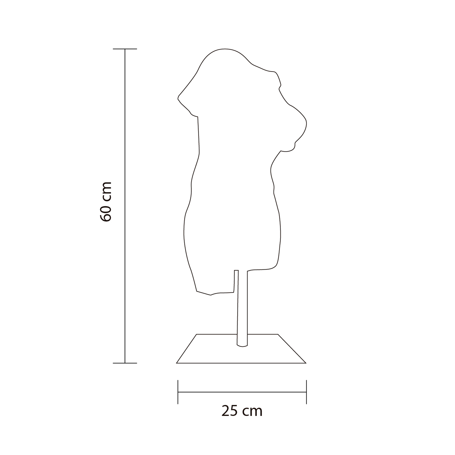 Dimensiones del producto