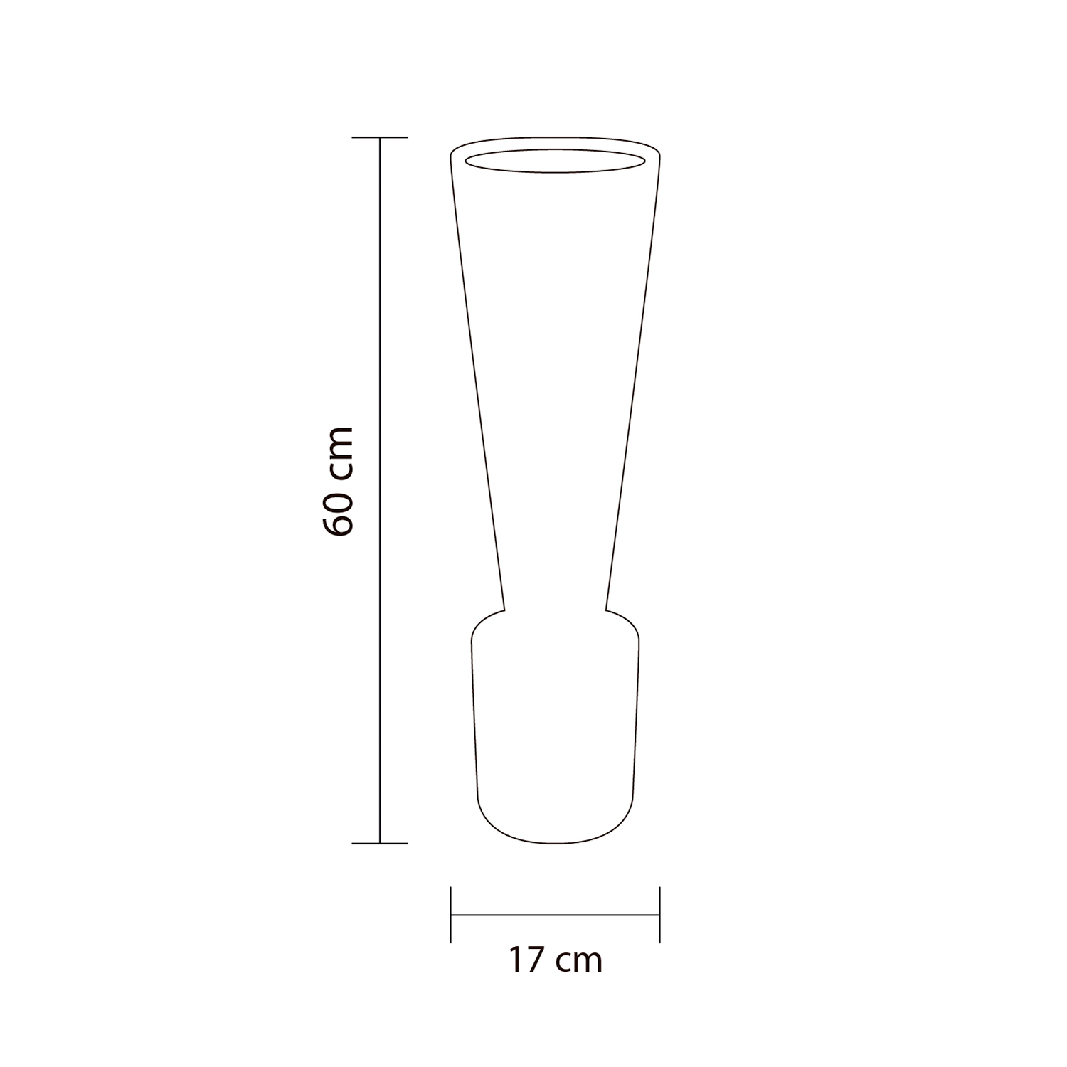 Dimensiones del producto