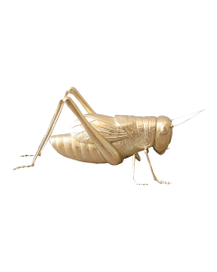 figura decorativo grillo dorado