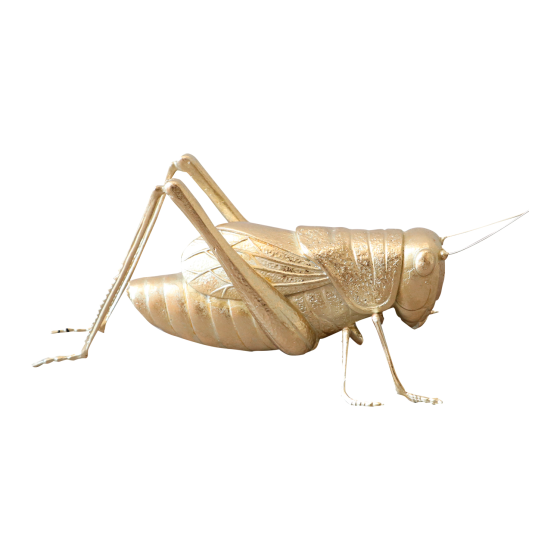 FIGURA GAF GRILLO NAHUM