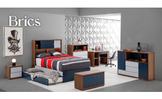 RECAMARA BRICS